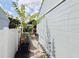 Side yard view of the property showcasing fencing and foliage against the exterior wall at 1918 Crown Park Dr, Valrico, FL 33594