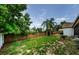 Spacious backyard featuring a lush lawn, tall privacy fence, and tropical palm trees at 2609 Sunnyside Cir, Palm Harbor, FL 34684