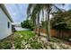 Expansive backyard with lush lawn, fenced perimeter, and tropical palm trees at 2609 Sunnyside Cir, Palm Harbor, FL 34684