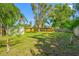 Spacious backyard with green grass, mature trees, shed and wooden fence at 317 Elizabeth Ave, Clearwater, FL 33759