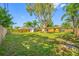Expansive backyard with mature trees, storage shed, and privacy fence at 317 Elizabeth Ave, Clearwater, FL 33759