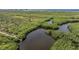 Aerial view of the lush mangrove forest surrounding a tranquil lake and waterways at 4710 Troydale Rd, Tampa, FL 33615