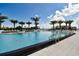 Inviting pool with clear blue water, surrounded by lounge chairs and palm trees, perfect for relaxation and recreation at 5120 Marina Way # 15005, Tampa, FL 33611