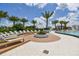 Luxury pool area surrounded by palm trees and lounge chairs, offering a resort-style experience with ample seating at 5120 Marina Way # 15005, Tampa, FL 33611