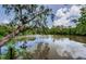 Backyard view of a lake surrounded by lush foliage and trees at 7332 Janczlik Dr, New Port Richey, FL 34652