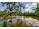 Picturesque view of the pond, showcasing lush greenery and serene waters at 7332 Janczlik Dr, New Port Richey, FL 34652