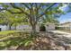 Charming single-story house with a sprawling tree casting shade on the front lawn at 7704 Tanglewood Ln, Tampa, FL 33615