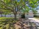 Inviting single-Gathering home with a large tree providing shade to the front yard at 7704 Tanglewood Ln, Tampa, FL 33615