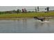 Dogs playing in pond at local dog park, with people watching and enjoying time with their furry friends at 7803 Mathern Ct, Lakewood Ranch, FL 34202