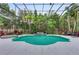 Amazing view of the screened pool and hot tub, surrounded by tropical greenery and a spacious patio at 7803 Mathern Ct, Lakewood Ranch, FL 34202