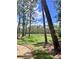 Scenic view of backyard with lush greenery and serene lake at 9481 Highland Oak Dr # 1101, Tampa, FL 33647