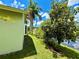 Back of house, landscaped yard and water view with palm trees at 9614 Long Meadow Dr, Tampa, FL 33615