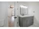 Bathroom vanity featuring gray cabinetry, a modern faucet, and well-lit mirror in the remodeled space at 11313 Knights Griffin Rd, Thonotosassa, FL 33592