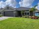 Inviting single-story home featuring lush green lawn and a charming palm tree at 13334 Ogden Glade Rd, Dade City, FL 33525