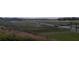 Overview of the community, adjacent greenspace, and walking paths at 13334 Ogden Glade Rd, Dade City, FL 33525