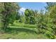 Lush green backyard with mature trees, offering a tranquil and private outdoor setting at 1822 Sassafras Dr, Wesley Chapel, FL 33543