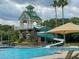 Resort-style pool featuring a water slide and tower, surrounded by lush landscaping and palm trees at 18930 Wood Sage Dr, Tampa, FL 33647