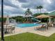 Community pool area with lounge chairs, umbrellas, and a slide with tower for Gathering fun at 18930 Wood Sage Dr, Tampa, FL 33647
