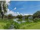 Scenic pond with fountain surrounded by lush greenery and trees at 2406 Dana Dr, Safety Harbor, FL 34695