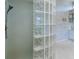 Close up view of glass block wall in shower area in ensuite bathroom at 2406 Dana Dr, Safety Harbor, FL 34695