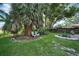 Lush backyard featuring a mature palm tree and garden area, creating a serene outdoor space for relaxation at 2817 Rustic Oaks Dr, Palm Harbor, FL 34684