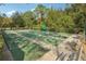 Community shuffleboard courts with benches and visible game markings at 30352 Elderwood Dr, Wesley Chapel, FL 33543
