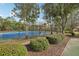 Fenced blue and green tennis court bordered by bushes and trees within the community at 30352 Elderwood Dr, Wesley Chapel, FL 33543