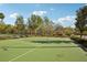 Green tennis court in community, complete with net, seating, and landscaping at 30352 Elderwood Dr, Wesley Chapel, FL 33543