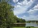 Beautiful pond view with lush greenery and serene blue sky at 31141 Harthorn Ct, Wesley Chapel, FL 33543