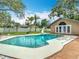 A well-maintained backyard pool with a diving board at 4002 Hudson Ter, Tampa, FL 33618