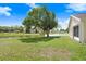 Backyard view with a large tree, a glimpse of the lake, and a building in the background at 4407 Whitton Way, New Port Richey, FL 34653