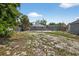 Expansive backyard featuring a chain-link fence and mature trees surrounding the property at 4535 15Th S Ave, St Petersburg, FL 33711