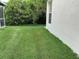 Lush backyard featuring a well-manicured lawn and large bushes, offering a private outdoor space at 6252 Olivedale Dr, Riverview, FL 33578