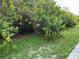 Grassy backyard featuring a privacy hedge of trees and bushes for shade at 6252 Olivedale Dr, Riverview, FL 33578