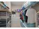 Organized walk-in closet with custom shelving and storage solutions for optimal space utilization at 6408 Seasound Dr, Apollo Beach, FL 33572