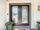 Elegant front door with decorative glass panels, complemented by potted plants and a welcome mat, inviting guests inside at 7511 Laurel Oak Ct, Port Richey, FL 34668