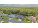 Aerial view of several well-maintained homes with lush lawns in a quiet, wooded neighborhood at 10728 Moshie Ln, San Antonio, FL 33576