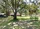Spacious backyard with mature trees, well-maintained grass, and lush greenery, perfect for outdoor activities at 1753 Ranchette Rd, Wesley Chapel, FL 33543