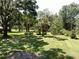 Lush backyard featuring vibrant greenery, mature trees, and well-maintained grass, creating a serene outdoor space at 1753 Ranchette Rd, Wesley Chapel, FL 33543