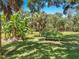 Lush backyard featuring vibrant greenery, mature trees, and well-maintained grass, creating a serene outdoor space at 1753 Ranchette Rd, Wesley Chapel, FL 33543