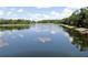 Scenic view of a calm lake reflecting the cloudy blue sky at 1753 Ranchette Rd, Wesley Chapel, FL 33543