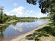 Scenic pond surrounded by lush greenery and mature trees, offering a tranquil and picturesque setting at 1753 Ranchette Rd, Wesley Chapel, FL 33543