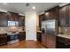 Kitchen featuring stainless steel appliances, dark wood cabinetry and granite countertops at 19409 Wingrove Ln, Lutz, FL 33558