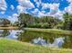Scenic view of a serene pond surrounded by lush greenery and a clear blue sky, creating a tranquil atmosphere at 22925 Collridge Dr, Land O Lakes, FL 34639