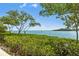 Scenic water view framed by lush greenery and trees against a blue sky at 2739 Via Capri # 1039, Clearwater, FL 33764