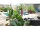 Private backyard with lush tropical landscaping around the pool and outdoor seating at 4495 Secretariat Run, Spring Hill, FL 34609