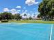 Vibrant community basketball court, perfect for recreation and staying active at 4617 Basswood St, Land O Lakes, FL 34639