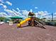Community playground with a slide and shade, perfect for outdoor fun on a sunny day at 4617 Basswood St, Land O Lakes, FL 34639