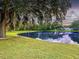 Scenic view of pond framed by lush greenery and an old tree, offering tranquility at 4617 Basswood St, Land O Lakes, FL 34639