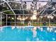 Inviting screened-in pool with crystal clear water and swan float, surrounded by lush landscaping at 4617 Basswood St, Land O Lakes, FL 34639